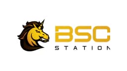 BSCStation